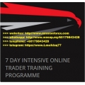 7 Day Intensive Online Trader Training Programme - Trading Framework (Total size: 21.26 GB Contains: 18 files)